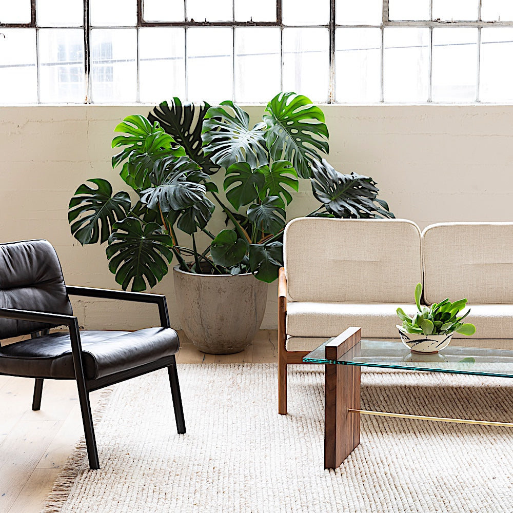 EARL Living Room including TAMBU Lounge chair, TAMBU Sofa, KABOT Sideboard, and MORESBY Bench