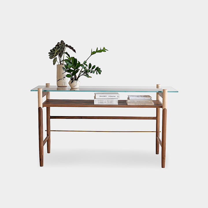 An Earl Home Console with a tempered glass top and brass accents showcases books and a large-leaved potted plant.