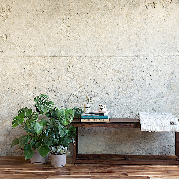 The Earl Home Walnut HAROLD Bench is a handcrafted masterpiece with a simple rectangular design and an open frame, featuring elegant walnut wood and brass detailing.