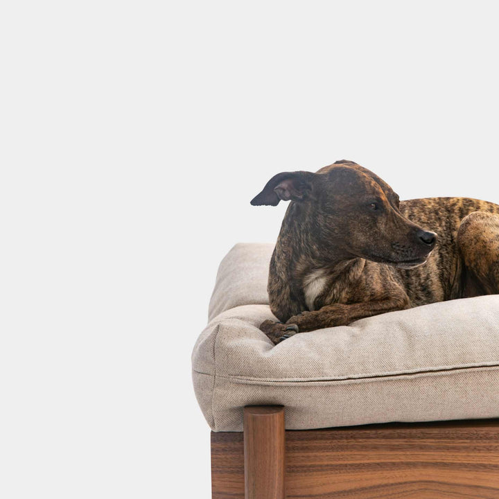 This EARL handmade dog bed has a solid wood base with a hidden drawer, and a custom detachable cushion upholstered in Sunbrella Blend Sand. We offer various fabrics and customers own fabric is encouraged as well. The base can be made in walnut, white oak, or ebonized oak and custom sizing is also available.