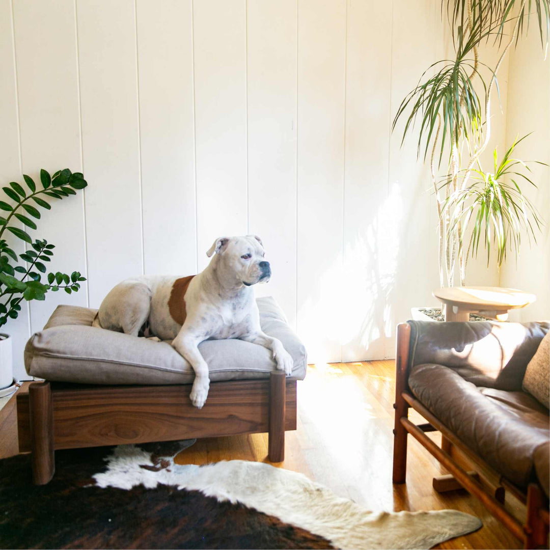 This EARL handmade dog bed has a solid wood base with a hidden drawer, and a custom detachable cushion upholstered in Sunbrella Blend Sand. We offer various fabrics and customers own fabric is encouraged as well. The base can be made in walnut, white oak, or ebonized oak and custom sizing is also available.