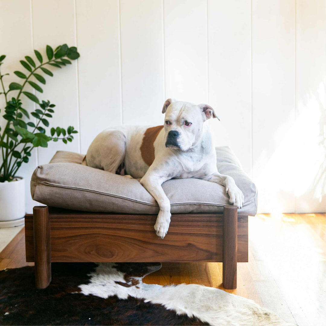 This EARL handmade dog bed has a solid wood base with a hidden drawer, and a custom detachable cushion upholstered in Sunbrella Blend Sand. We offer various fabrics and customers own fabric is encouraged as well. The base can be made in walnut, white oak, or ebonized oak and custom sizing is also available.