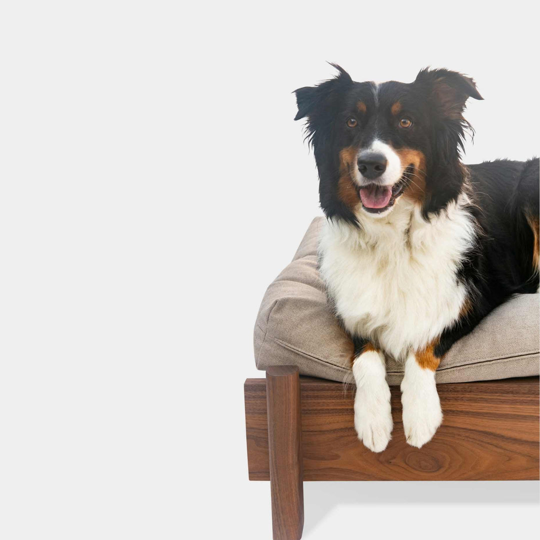 This EARL handmade dog bed has a solid wood base with a hidden drawer, and a custom detachable cushion upholstered in Sunbrella Blend Sand. We offer various fabrics and customers own fabric is encouraged as well. The base can be made in walnut, white oak, or ebonized oak and custom sizing is also available.