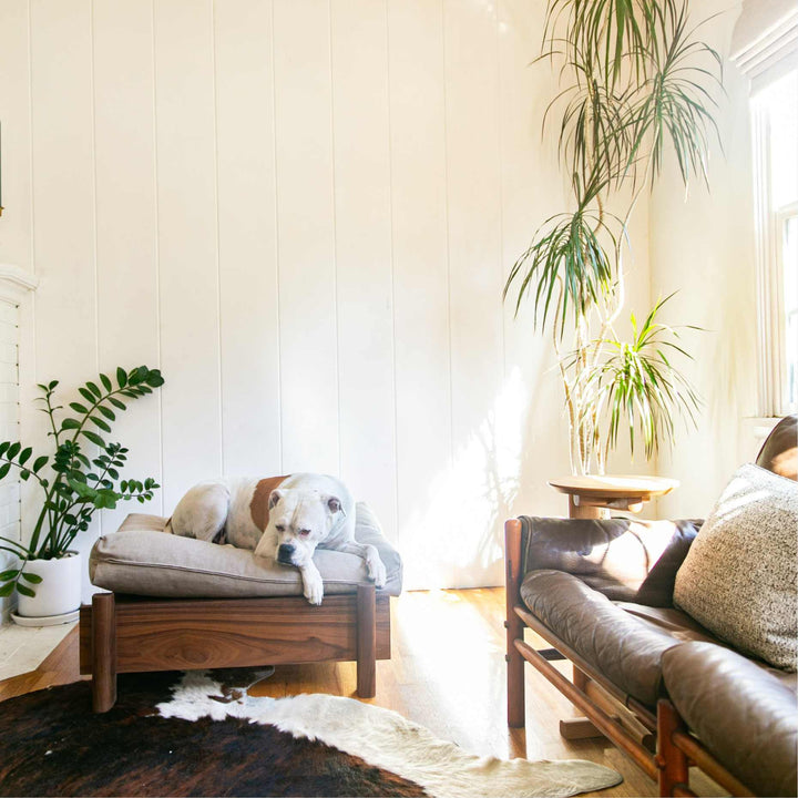 This EARL handmade dog bed has a solid wood base with a hidden drawer, and a custom detachable cushion upholstered in Sunbrella Blend Sand. We offer various fabrics and customers own fabric is encouraged as well. The base can be made in walnut, white oak, or ebonized oak and custom sizing is also available.